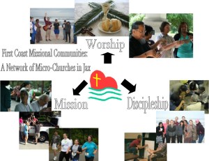 fcmc visual depiction