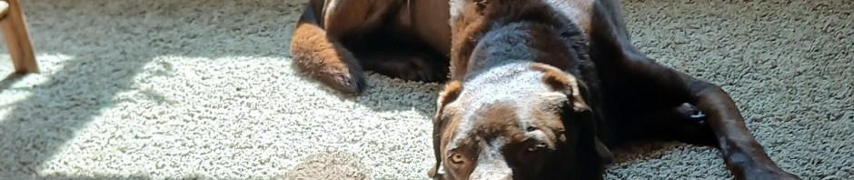 Sampson